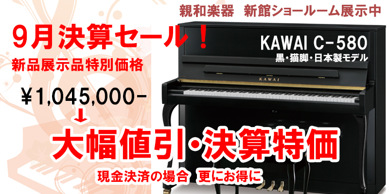 軻롡̾ŲΥԥŹ³ڴ磻C-580