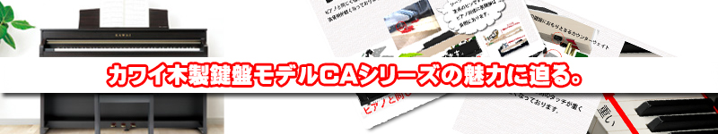 �Żҥԥ��Ρ����磻�������ס�̾�Ų�