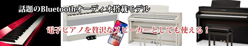 贅沢なスピーカーとして活用可能。