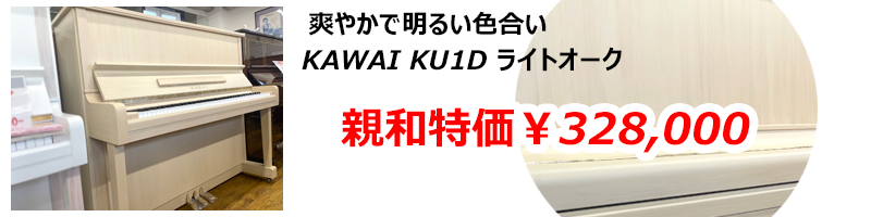 KAWAI磻KU1D 饤ȥ