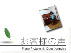 �����ͥ��󥱡��ȡ��¼̡�ľɮ���󥱡��ȷǺ��桪