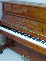 東洋ピアノ　vierge v116w