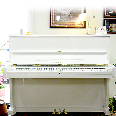 �x�`�l�`�g�`���}�n�t1��