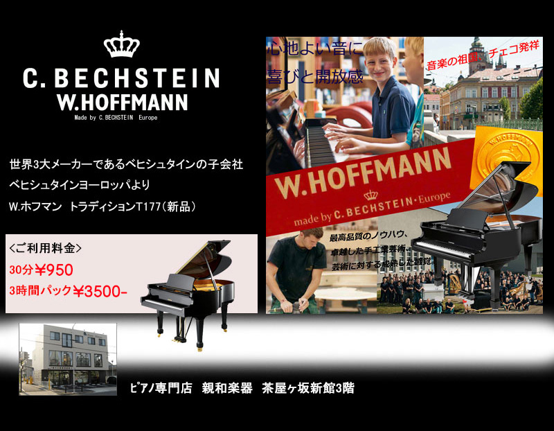 C.BECHSTEIN �x�q�V���^�C���@�z�t�}���@���É��̃s�A�m���X�@�e�a�y��
