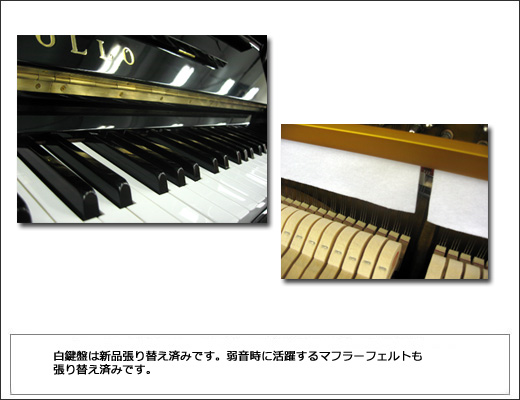 APOLLO�@�A�|���@SR6