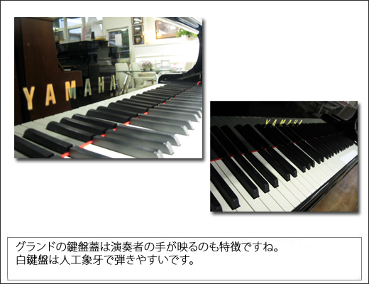 YAMAHA�@���}�n�@C1A