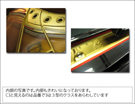 YAMAHA�@���}�n�@C1A