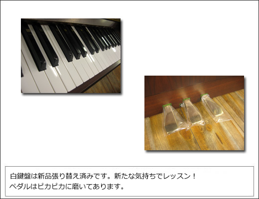 YAMAHA�@���}�n�@W110BW