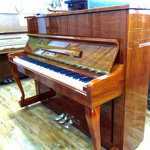ヴィエルジェV-116W