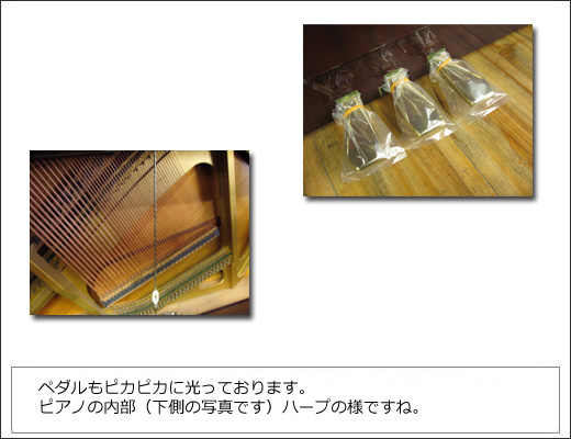 YAMAHA�@���}�n�@W108BS
