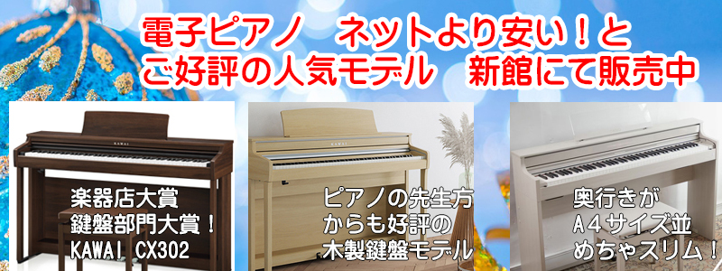 電子ピアノ　デジタルピアノ　名古屋のピアノ専門店　親和楽器