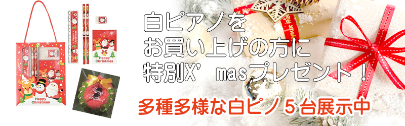 ル　名古屋のピアノ専門店　親和楽器