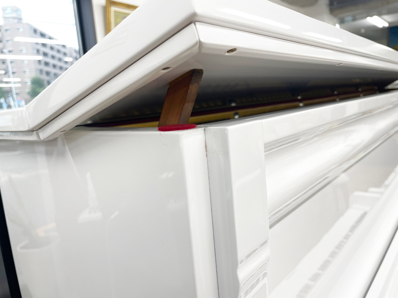 ADELSTEIN アーデルスタイン 名古屋のピアノ専門店　親和楽器