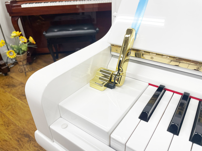 ADELSTEIN アーデルスタイン 名古屋のピアノ専門店　親和楽器