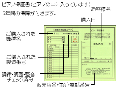 5年保障付き