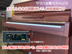 ニーマイヤー114RP 名古屋のピアノ専門店 親和楽器